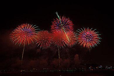 顽皮狗取消了一款单人游戏 《血源诅咒》编辑领导